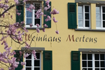 weingut_mertens.jpg